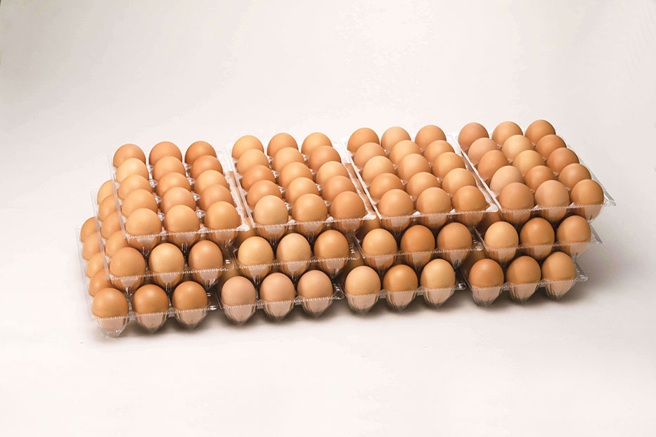 卵 産直 厳選赤玉大 160個入り 破卵保証20個含む 岩田養鶏場 岩田のおいしい卵 榛名 榛東村 送料無料