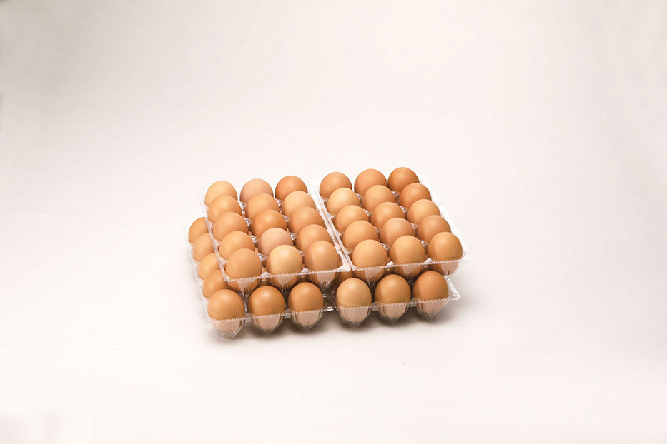 最大99％オフ！ ふるさと納税 榛東村 岩田のおいしい卵実用中玉30個 10個入り×3パック