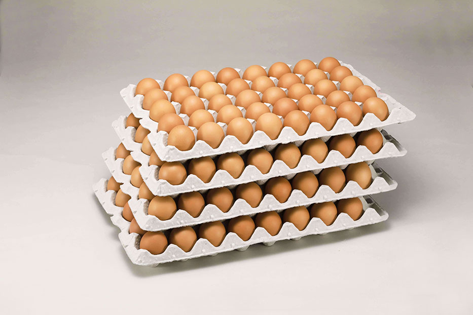 Mサイズ10kg業務用卵